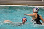 WWPolo vs CC  Wheaton College Women’s Water Polo vs Connecticut College. - Photo By: KEITH NORDSTROM : Wheaton, water polo